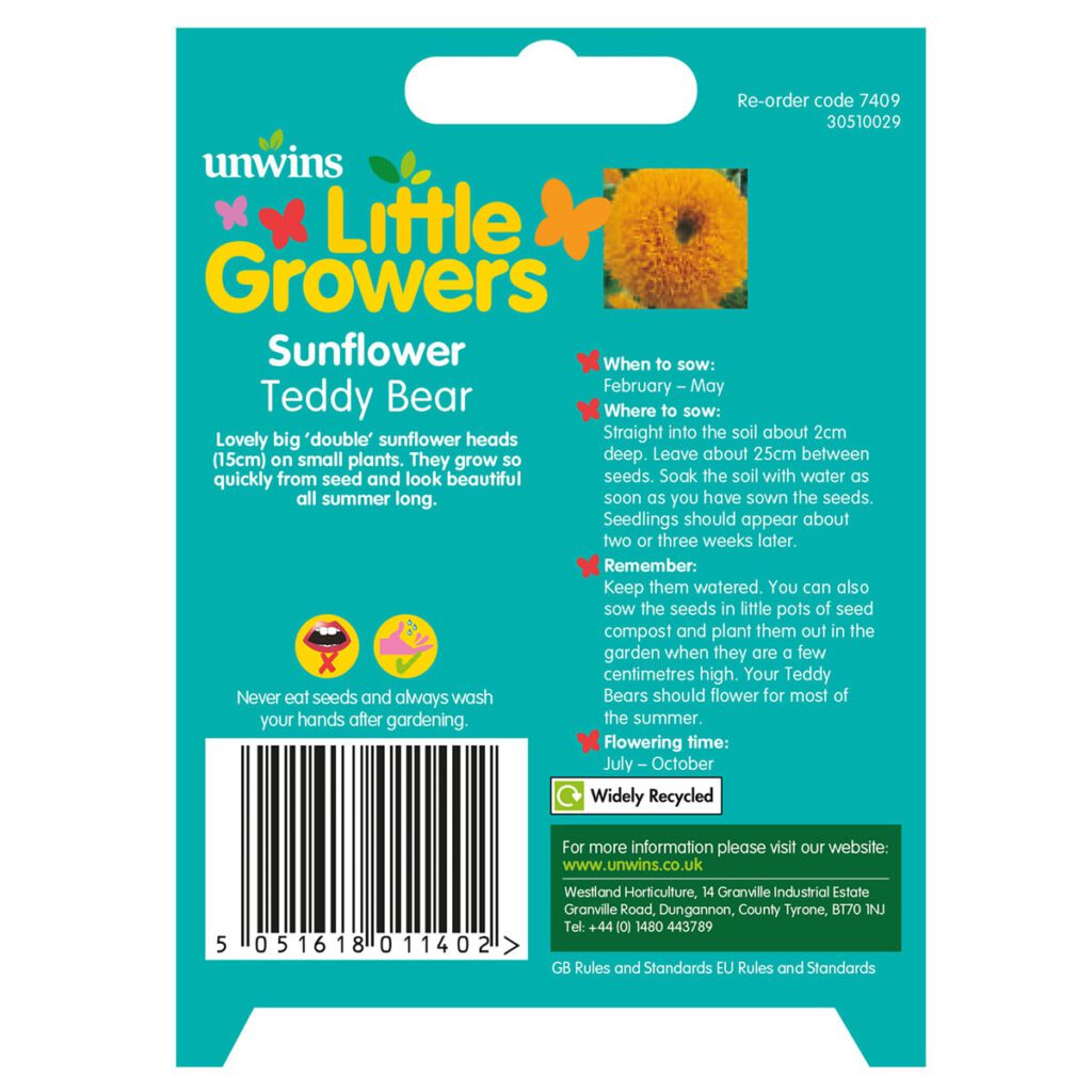 Little Growers Sunflower Teddy Bear Seeds 5051618011402 2